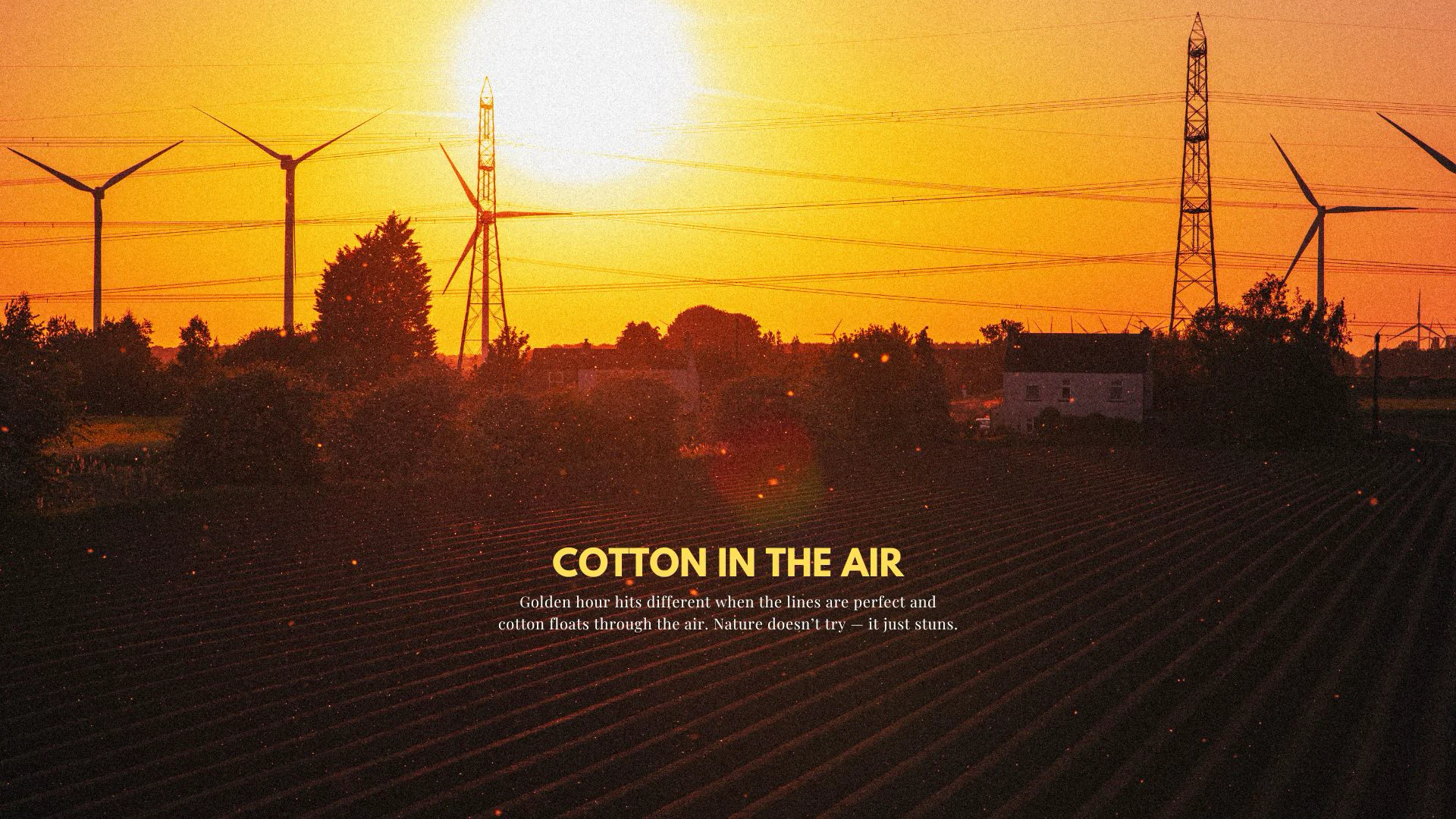 Cotton in the air: golden hour over furrowed fields with turbines and pylons